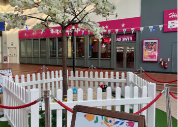 The Red Dragon Centre brings a buzz to the Bay with bee-friendly makeover